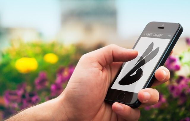 Mobile App Design